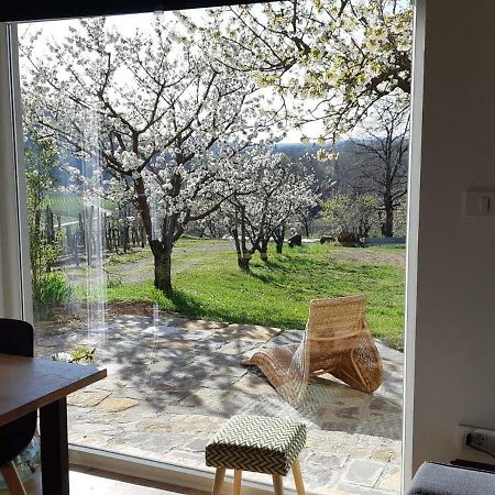 Apartma Vita Dobrovo Extérieur photo